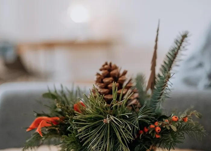 Rzepicha Daire Zakopane